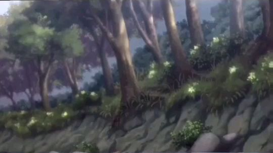 森林的每一刻都充满了美丽
